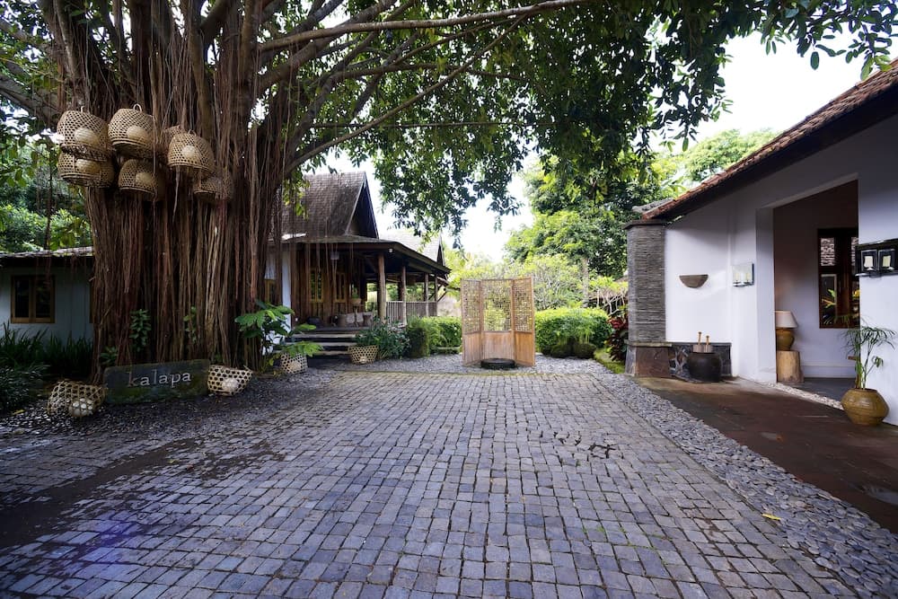 Kalapa Resort and Yoga retreat photo 7
