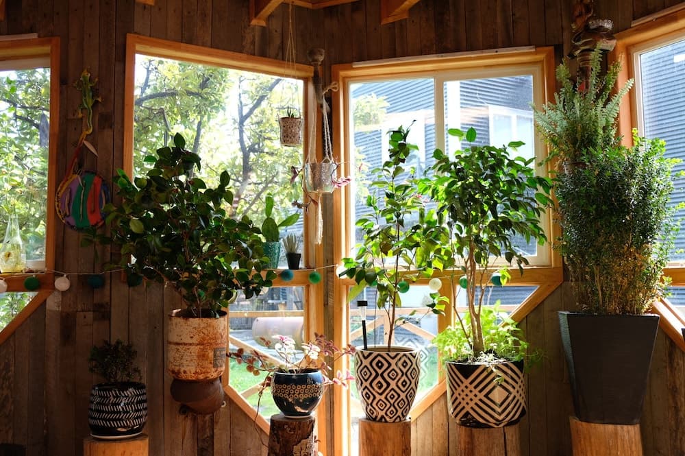 Yagan House photo 7