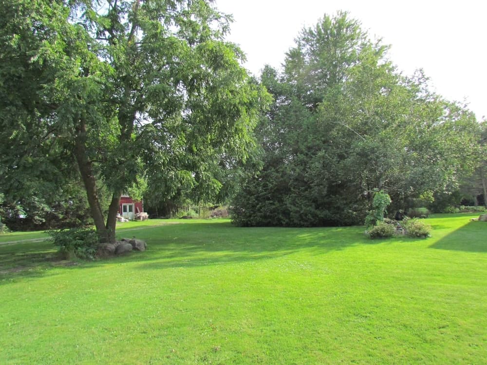 Terrace Green Bed & Breakfast photo 2