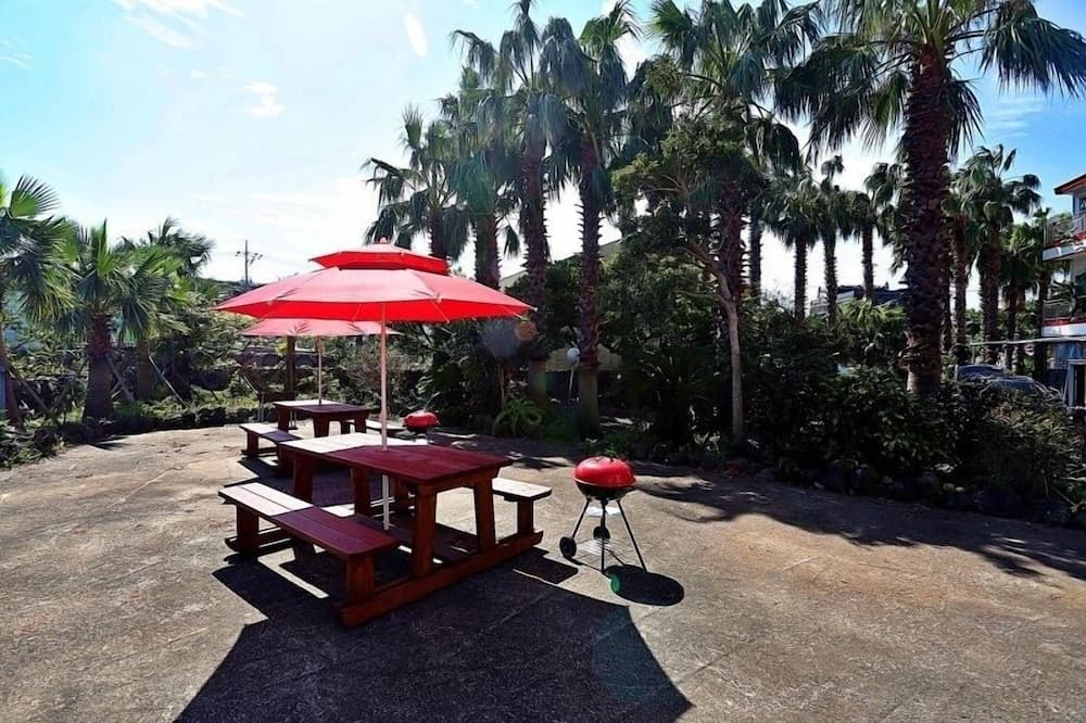 Luna in Jeju Pension
