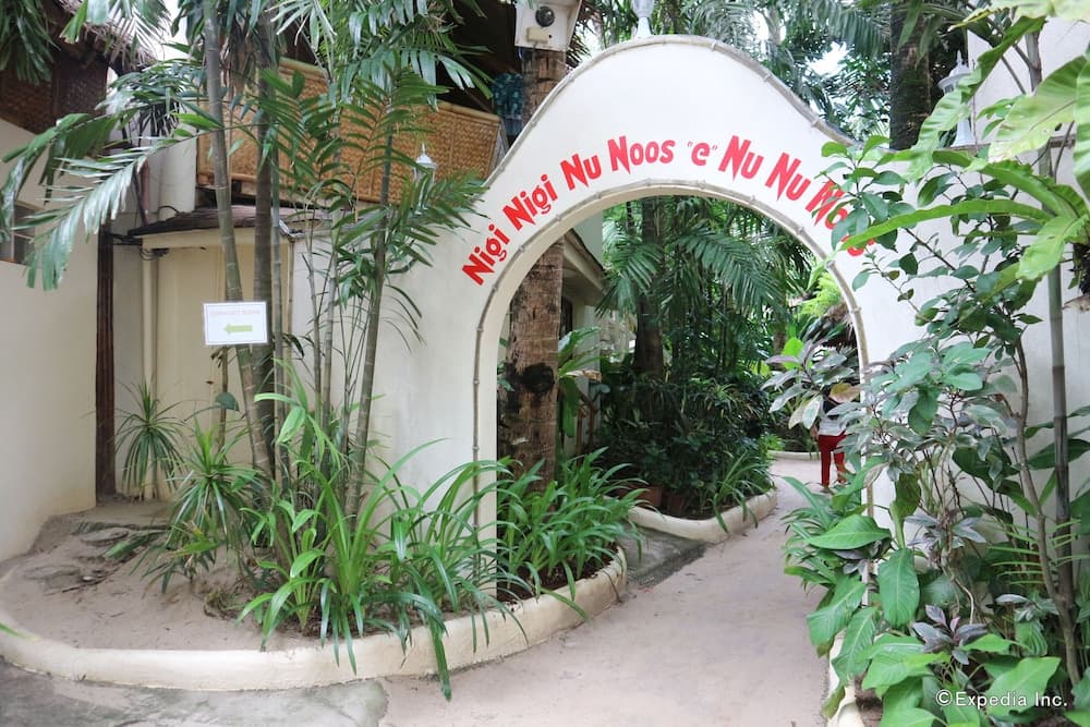 Nigi Nigi Nu Noos “e” Nu Nu Noos photo 2