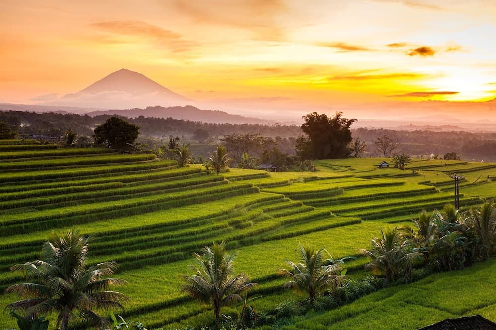Awatara Boutique Resort Ubud photo 9