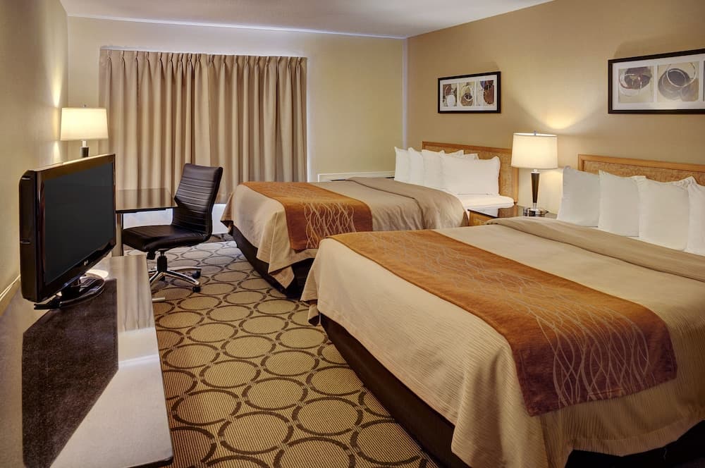 Comfort Inn New Glasgow photo 9