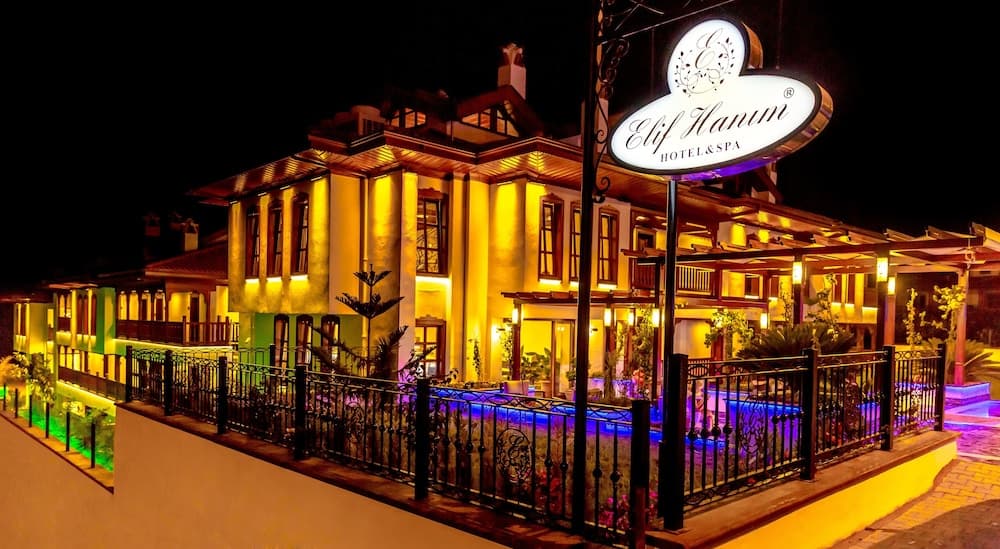 Elif Hanim Hotel & Spa photo 3
