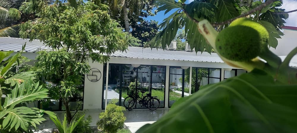 Oceana Inn Maldives photo 3