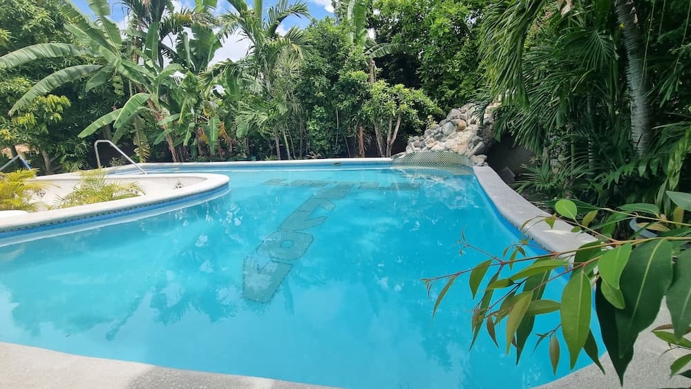 Little Savoy Guest House photo 4