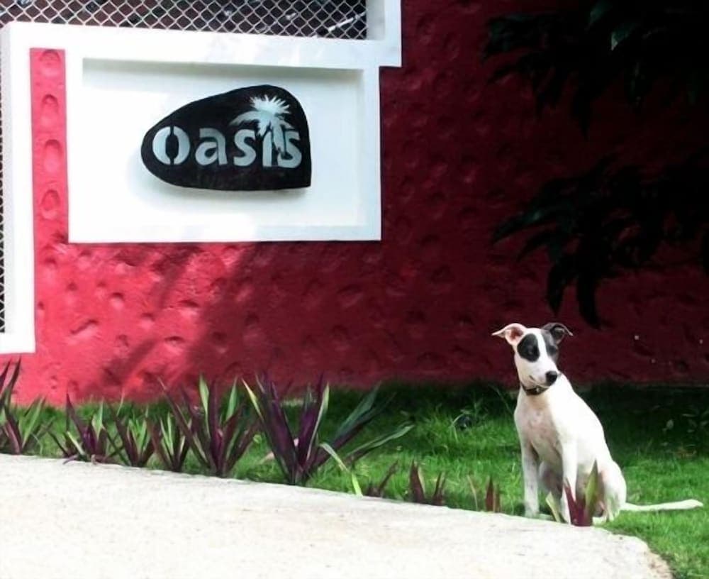 Oasis Hotel Las Terrenas photo 8