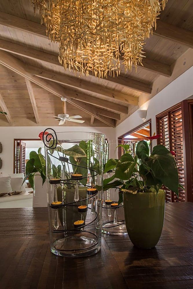 Villa Las Piñas photo 7