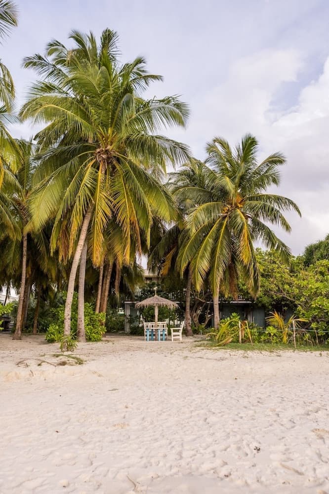 Nazaki Beach Hotel & Spa Maldives photo 8