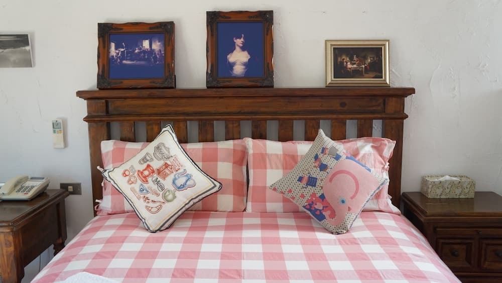 35 A-Li BnB photo 3