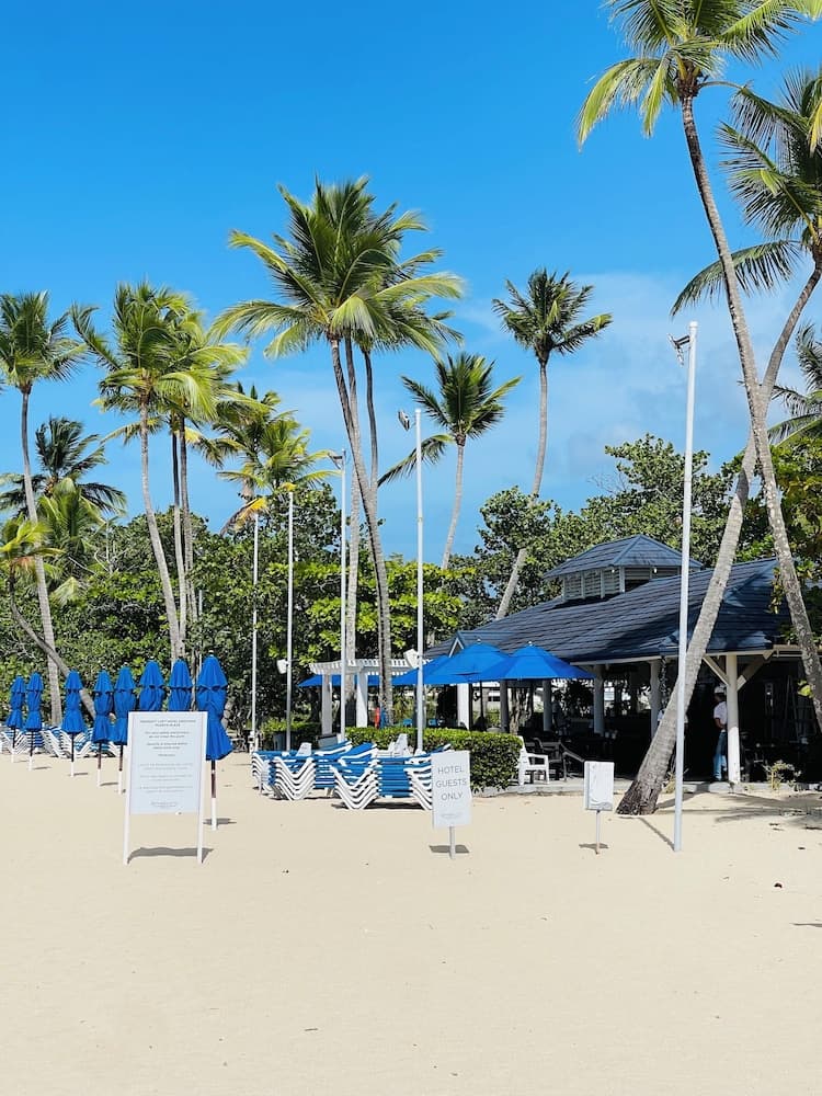 Playa Dorada King Bed Beachfront photo 6