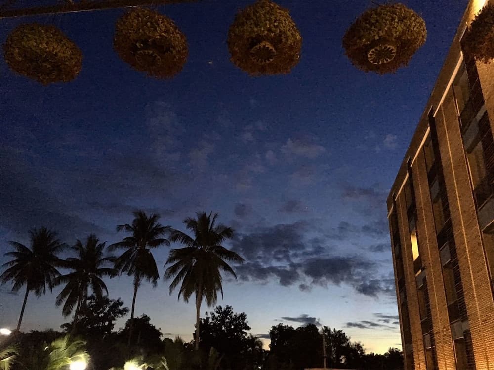 The Coconut Hotel photo 5