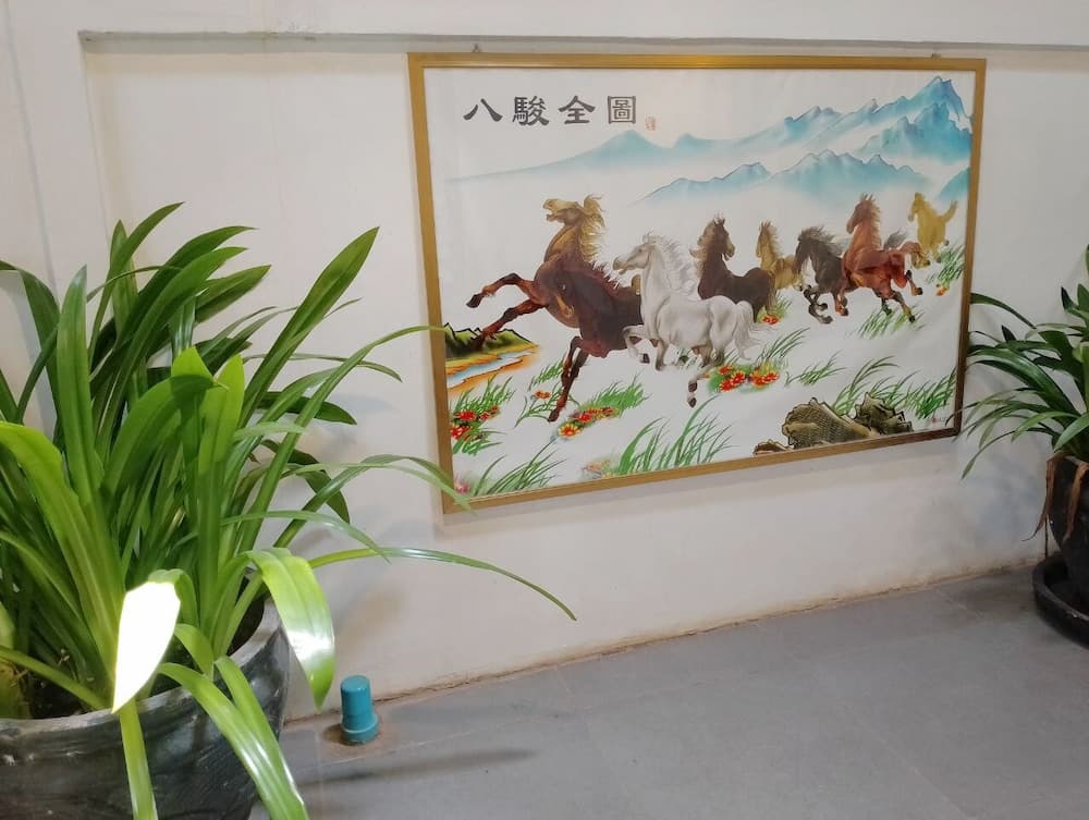 Shalima Guest House photo 2