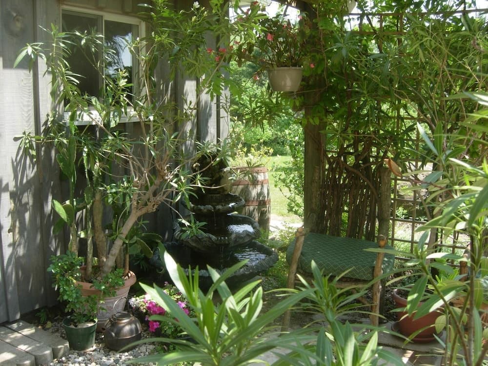Koch Haus Bed & Breakfast photo 3