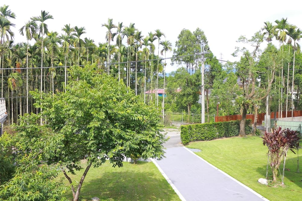 Dou House photo 9