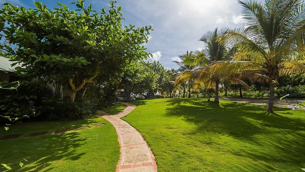 Seagrapes Villa photo 3