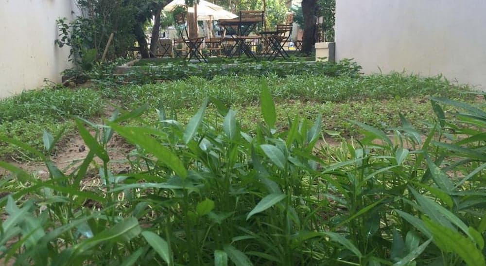 Heritage Homestay photo 2