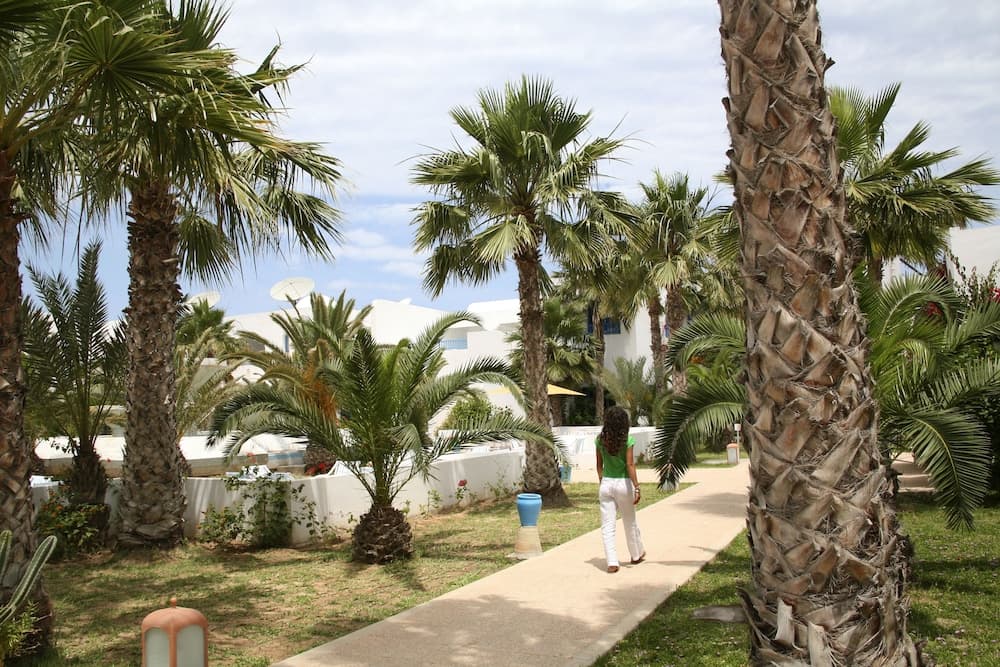 Monarque Dar Jerba Narjess - Family Only photo 8