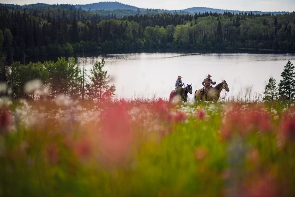 Montana Hill Guest Ranch photo 9