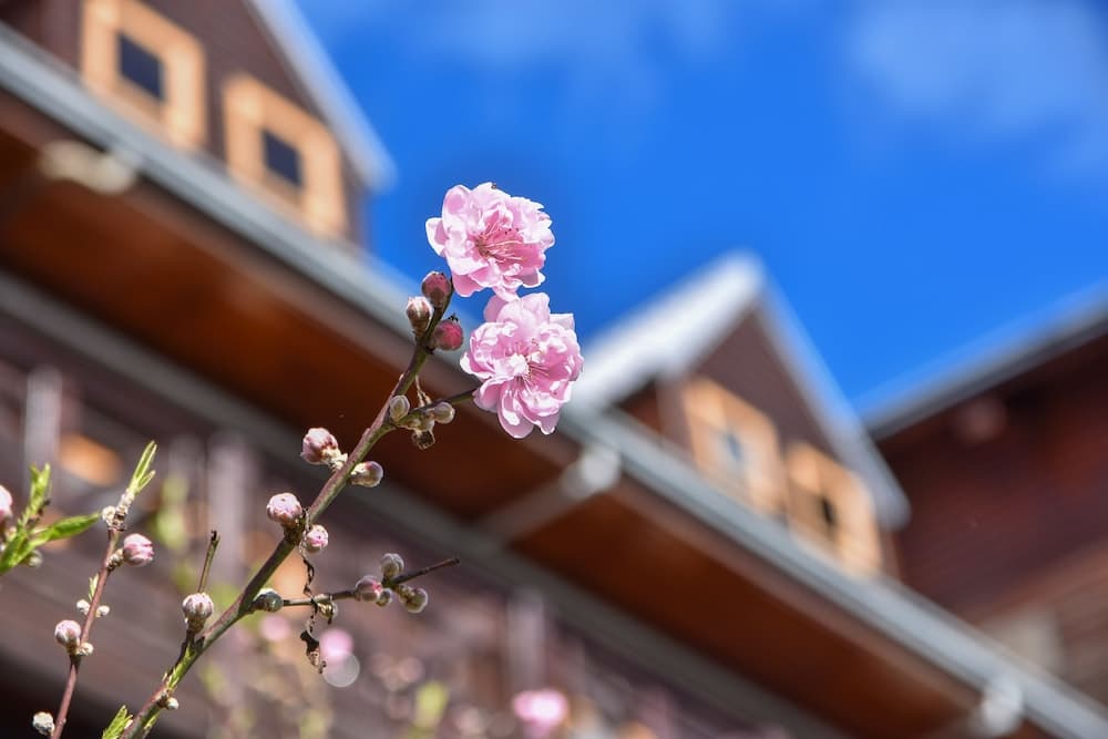 Beverly B&B photo 4