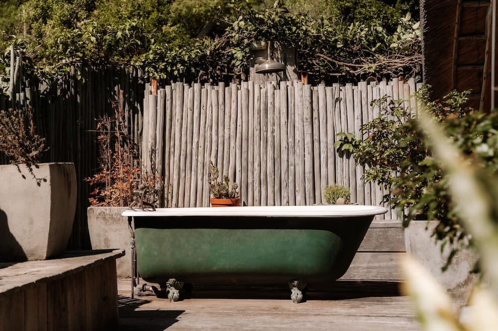 Wonderland Cape Town photo 7