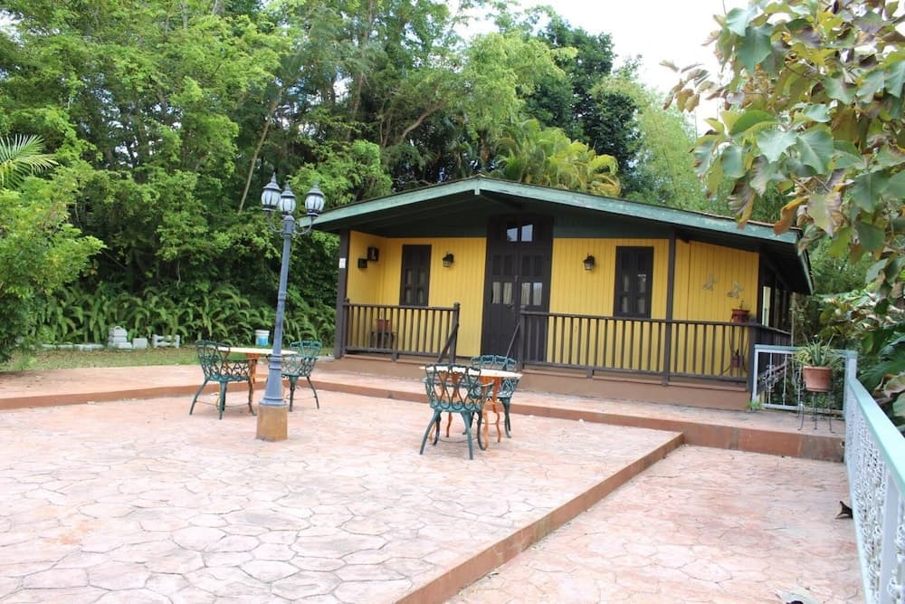 El Oasis Hotel photo 6