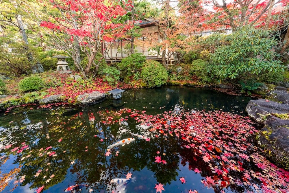 Koyasan Syukubo Ekoin photo 4