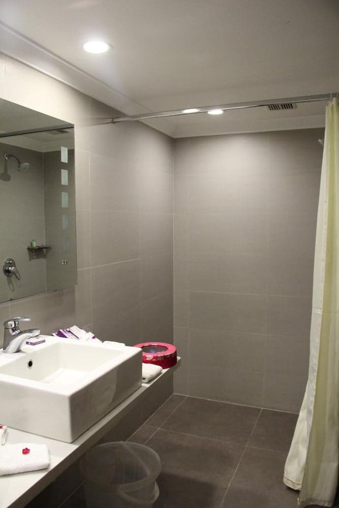 Minerva Grand photo 4