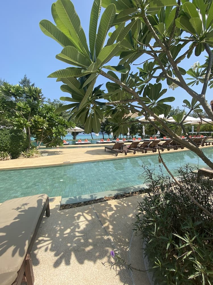PP Princess Resort photo 8