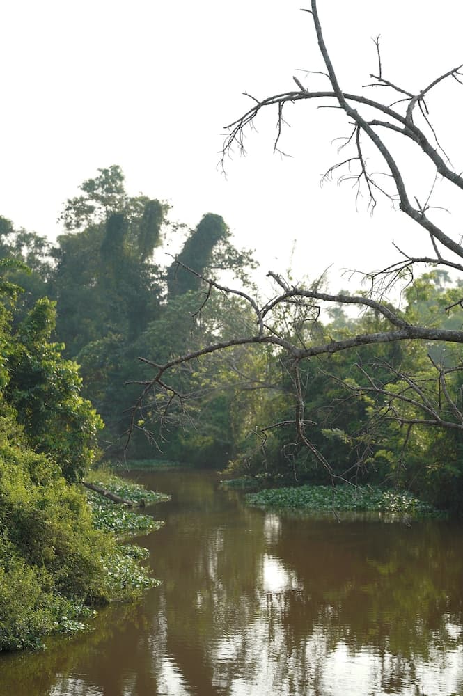 Kirindi Paddy Isle photo 4