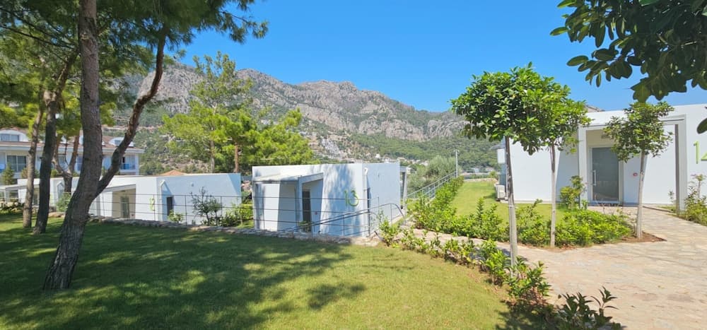 Z-Villas photo 4