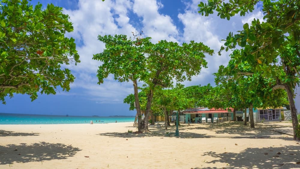 Negril Beach Club photo 7