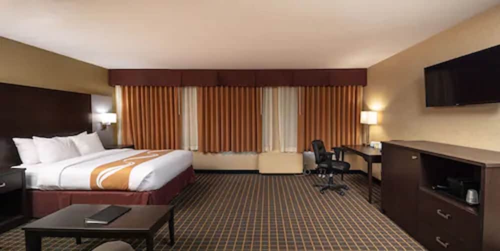 Quality Inn & Suites Downtown photo 6