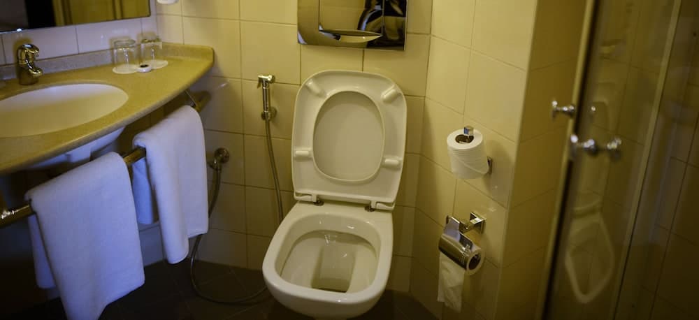 ibis Muscat photo 2