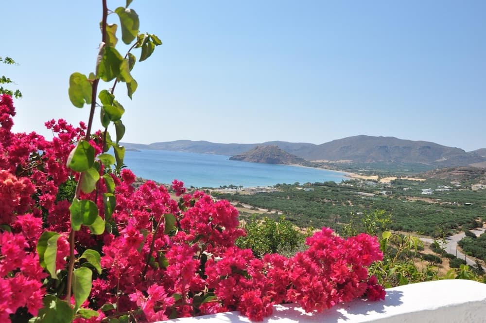Castri Village Hotel photo 6