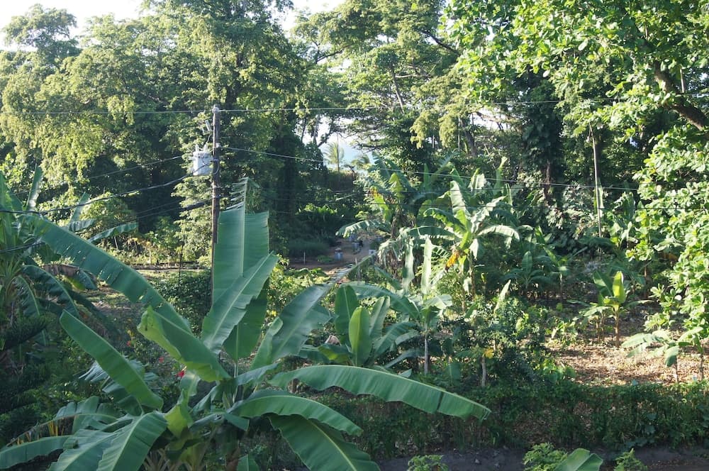Casa Estrella Mirabal photo 5