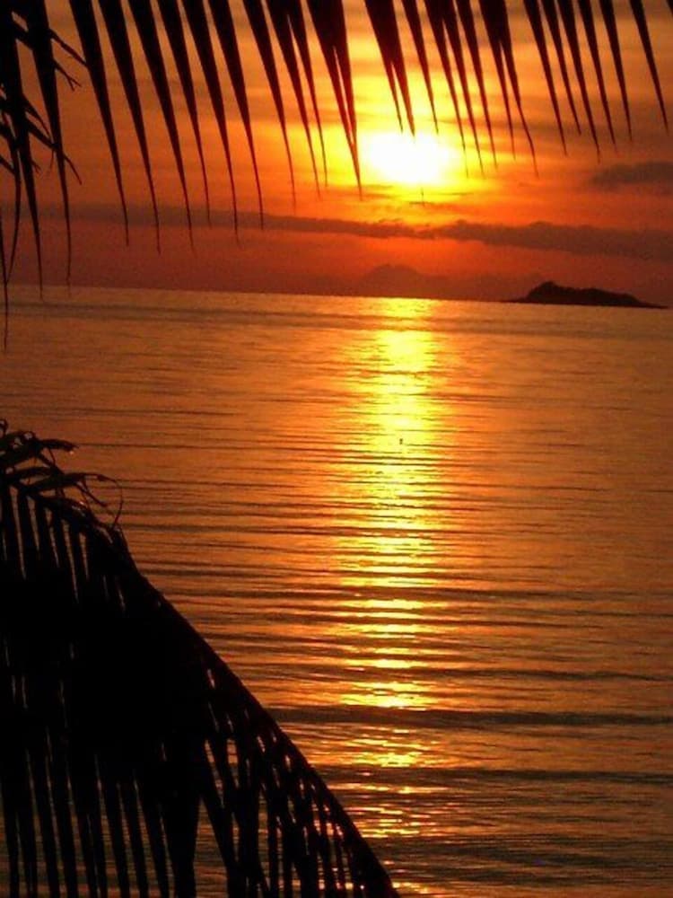 Shiralea Island Resort photo 2
