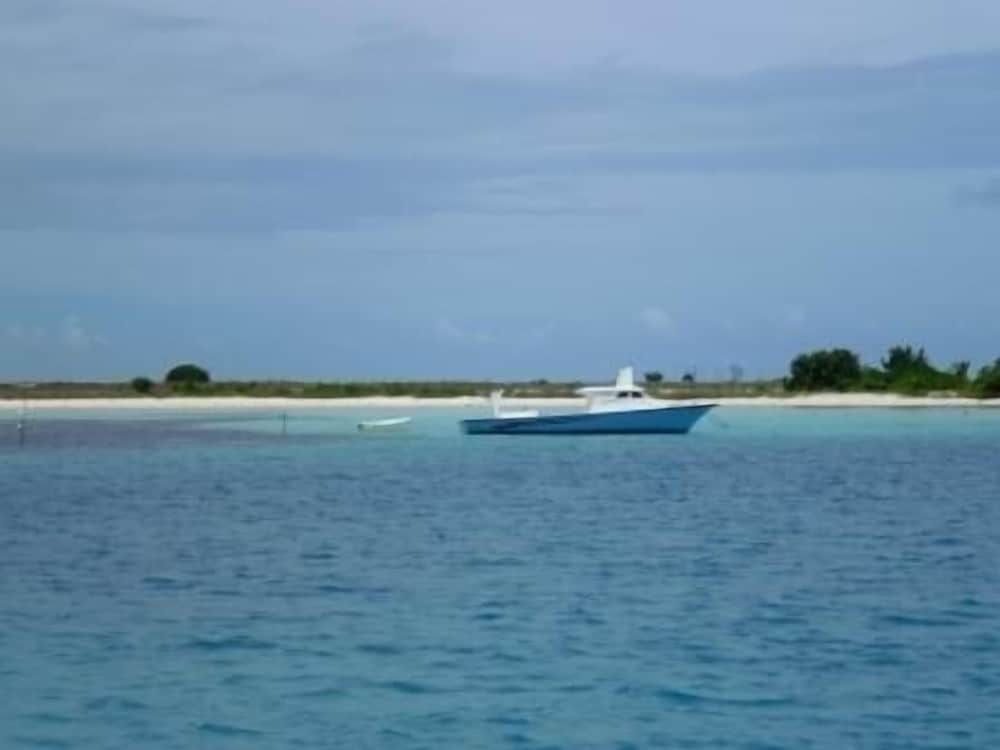 Plus View Maldives photo 6