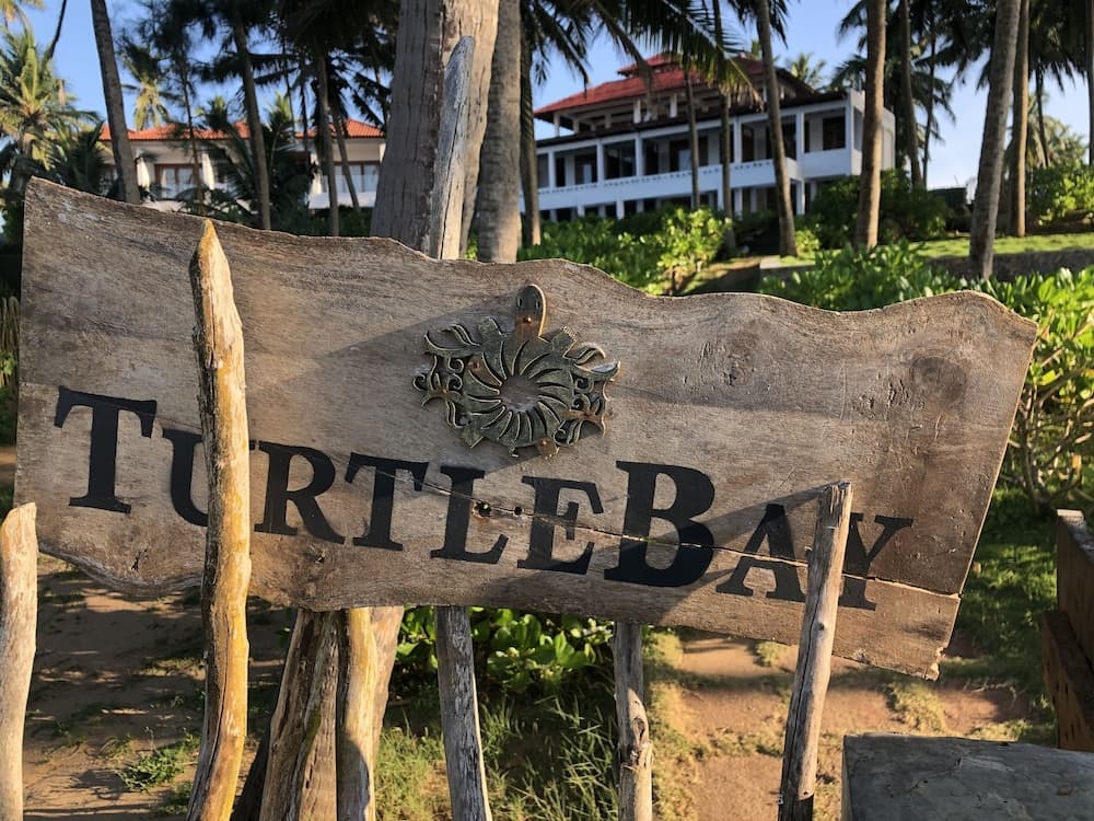 Turtle Bay photo 2