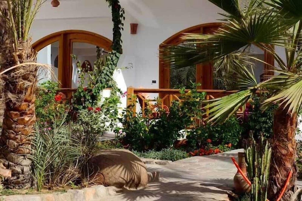 Hotel Planet Oasis photo 5