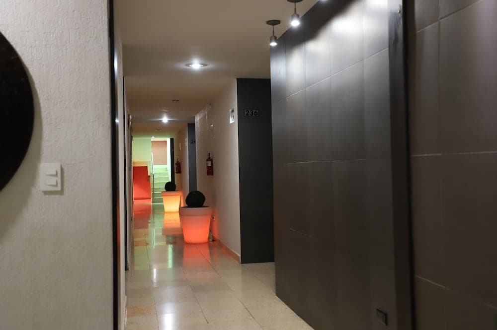Home Suites Rotarismo photo 5