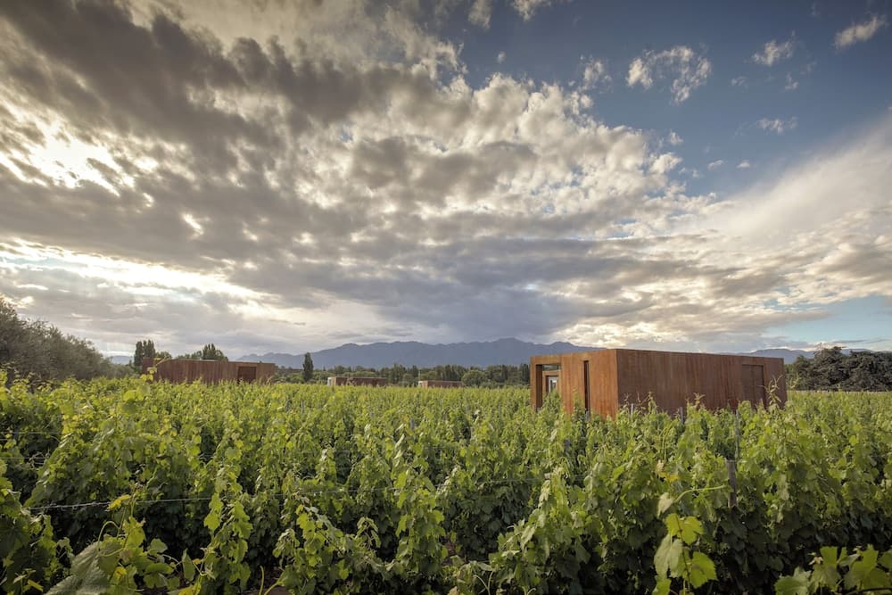 Entre Cielos Wine & Wellness Hotel photo 3