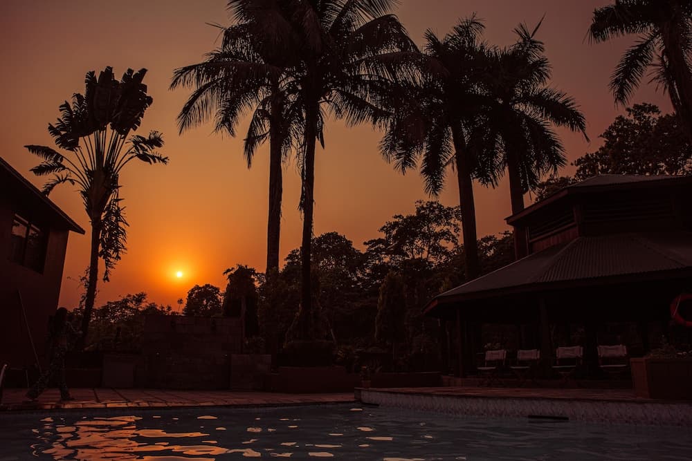 Safari Adventure Lodge photo 5