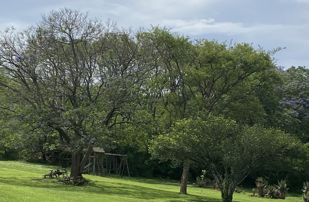 SpionKop Lodge photo 2