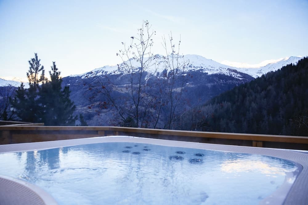 Hôtel Alpina photo 3