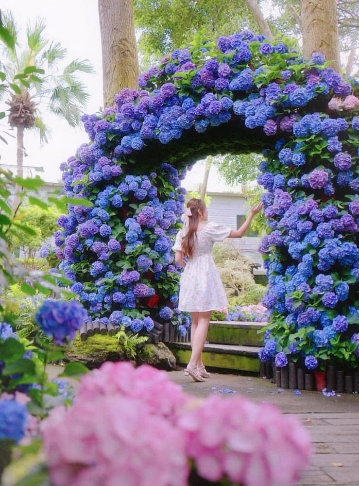 FlowerHome photo 7