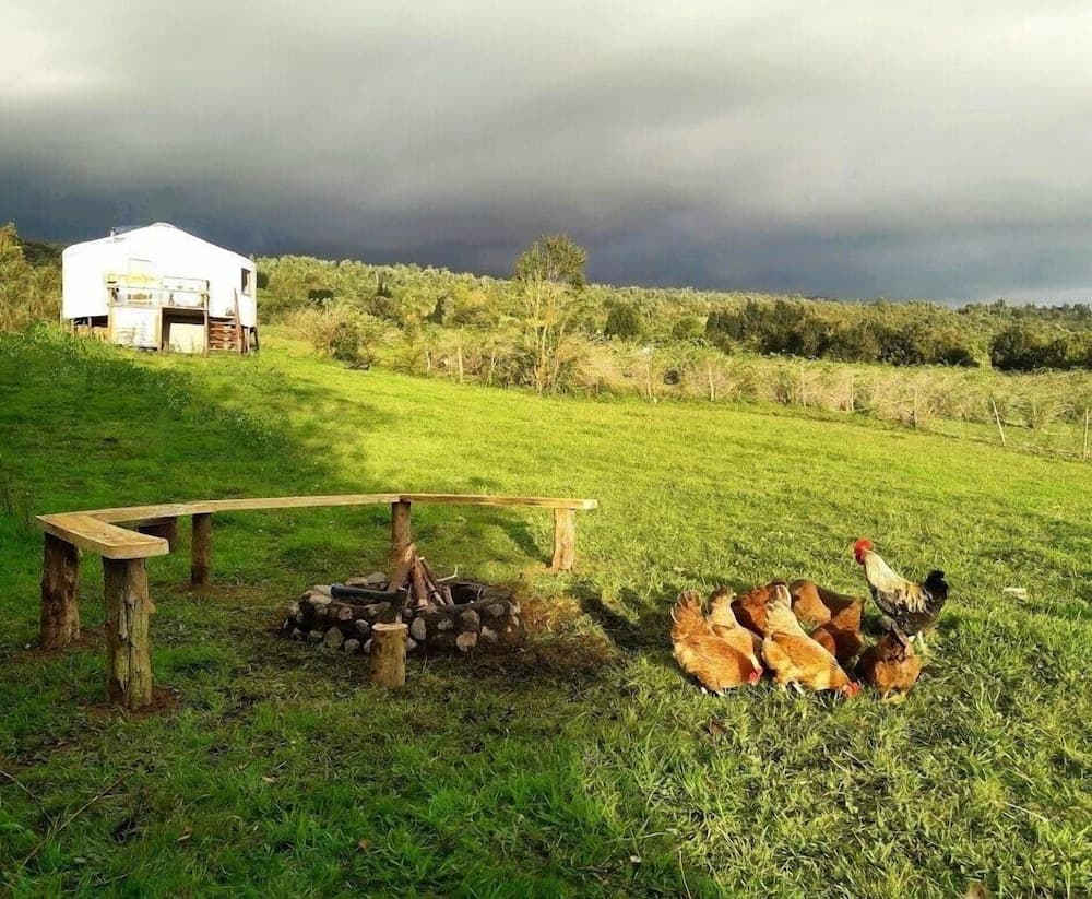 Yurt in Puyehue with Volcano Views photo 9