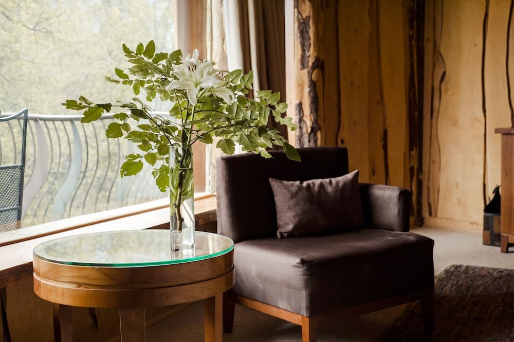 Huilo Huilo Nothofagus Hotel & Spa photo 8