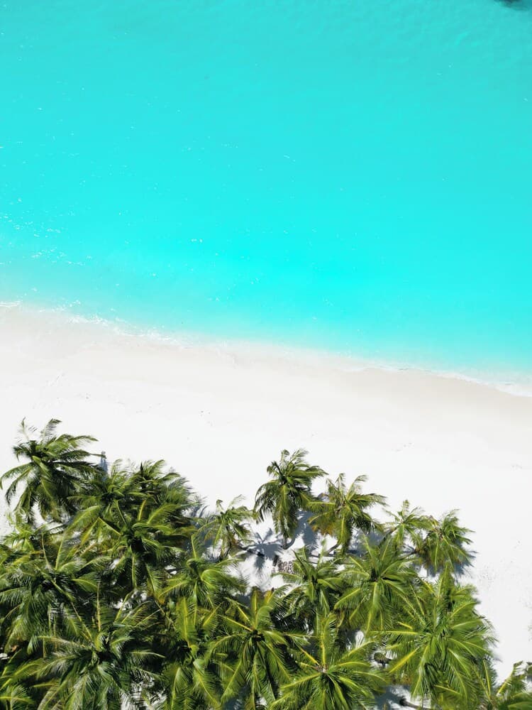 Blue Coral Vashafaru photo 4