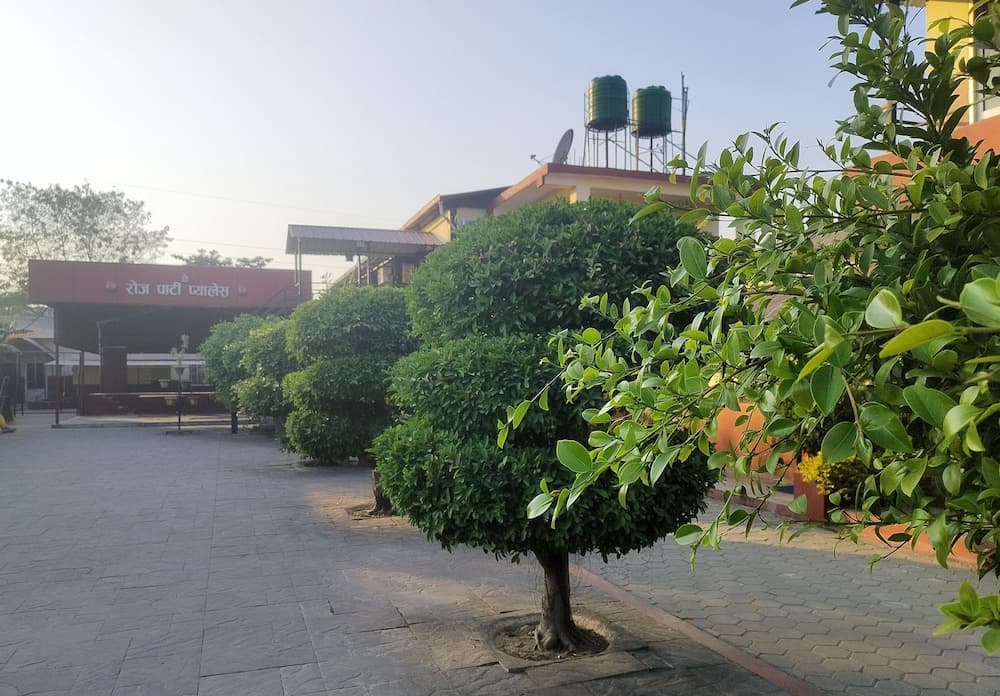 Rose guest house photo 2